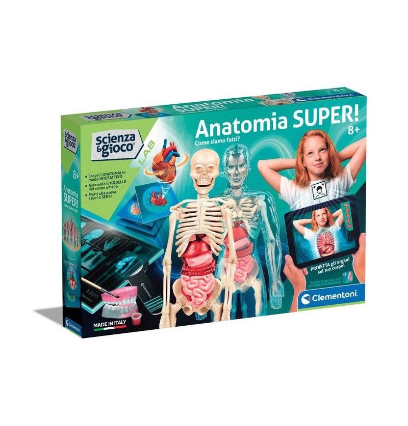 Anatomia Super