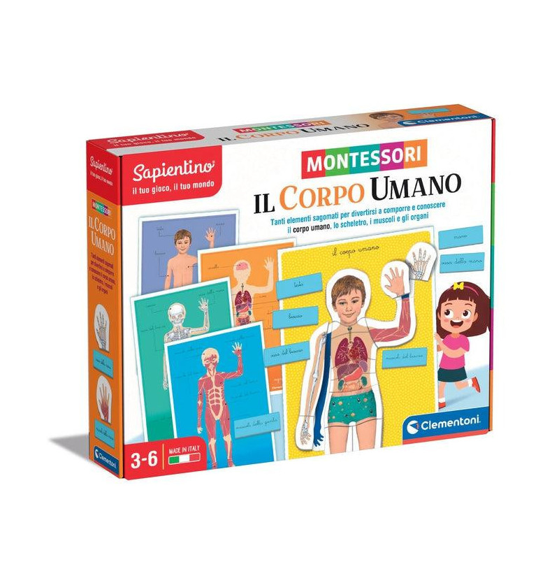 Montessori - Il Corpo Umano