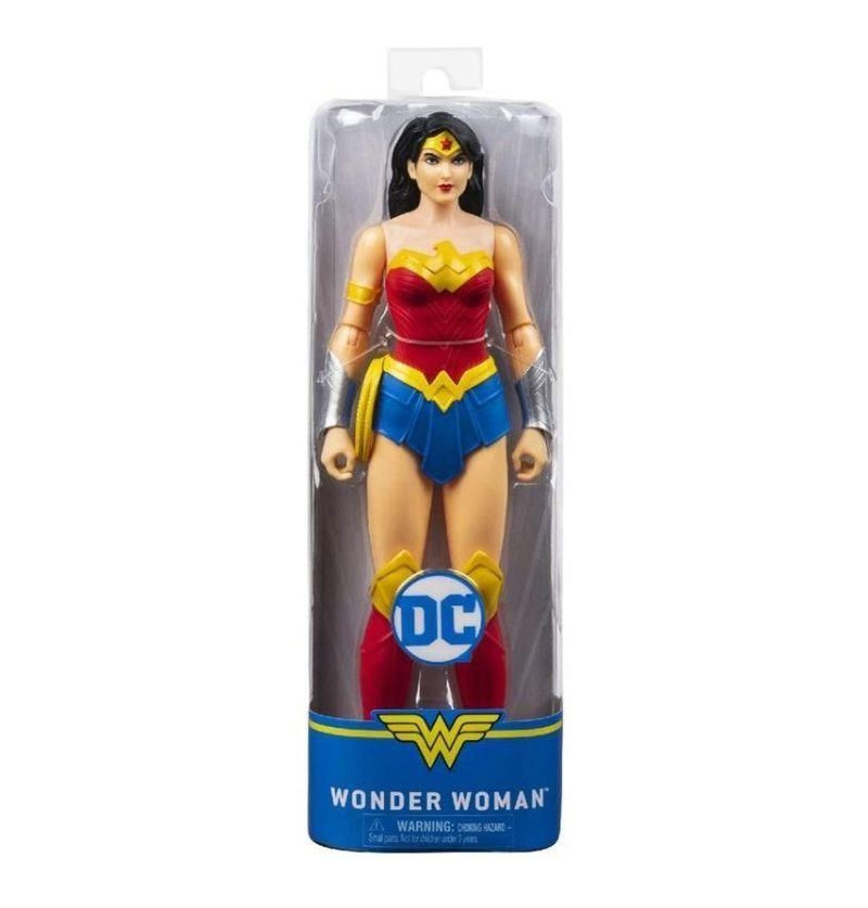 DC Universe Personaggio...