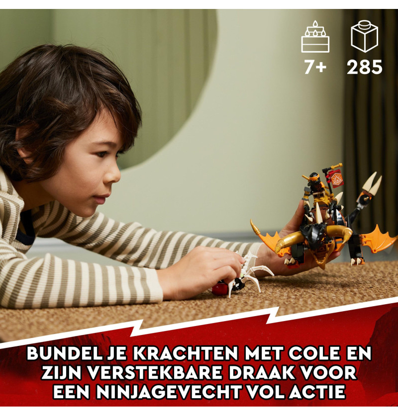 Ninjago drago di terra di...