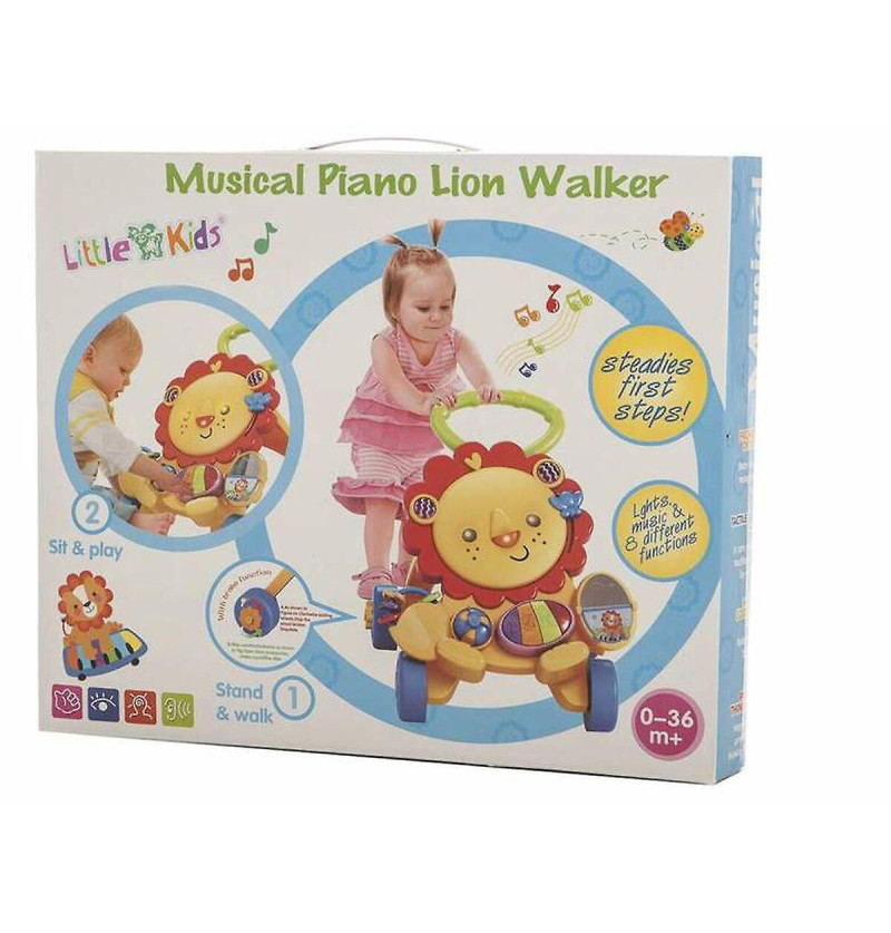 Primi Passi musicale e...