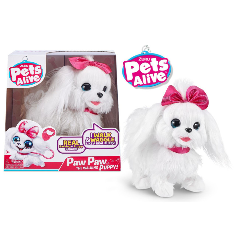 Pets alive a spasso con lilly