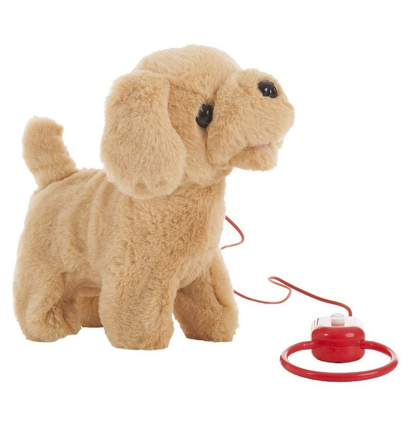 Cucciolo di labrador con...