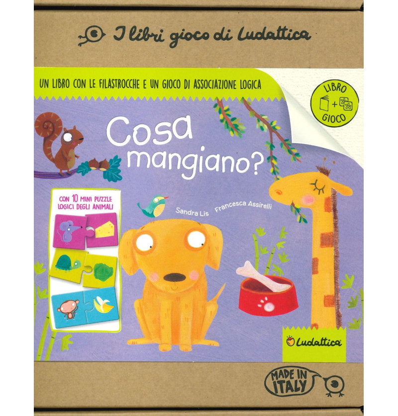 Librigioco Ludattica - cosa...