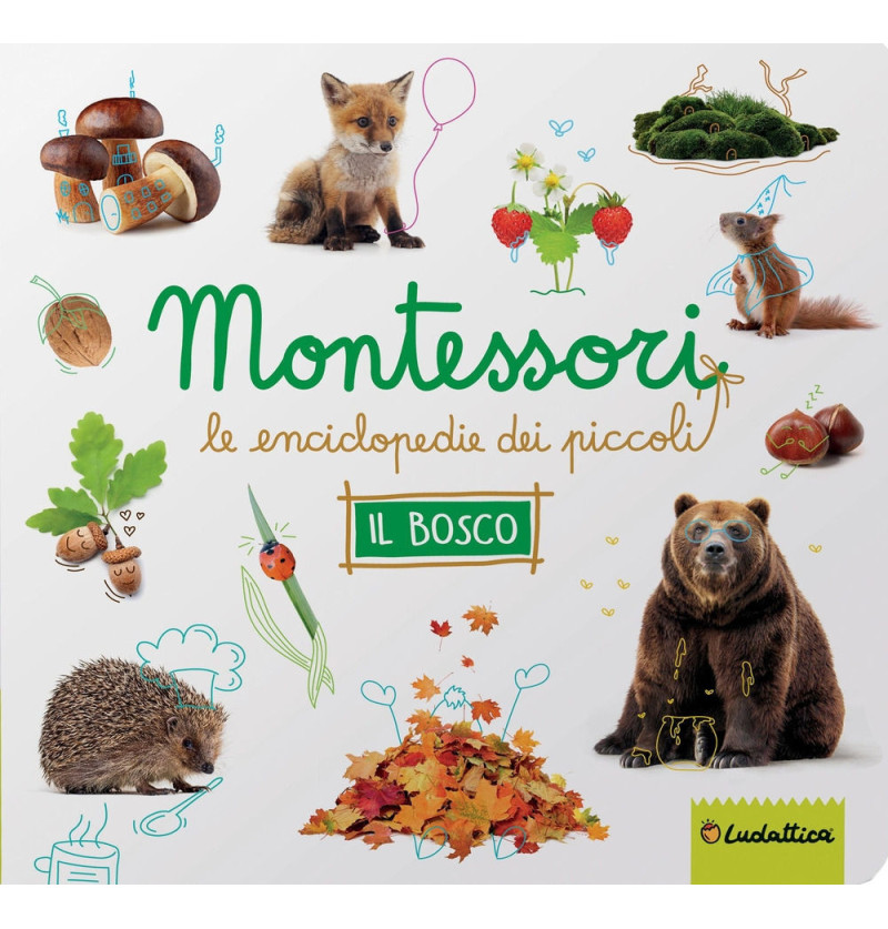 Il bosco. Montessori. Le...